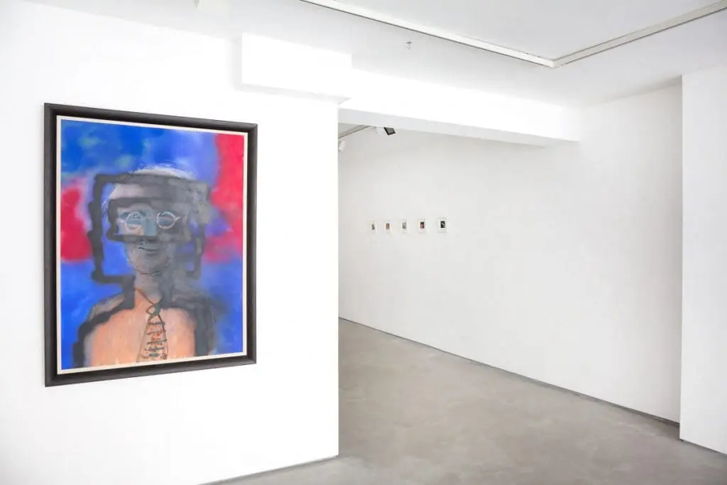 sir sidney nolan polaroids installation view