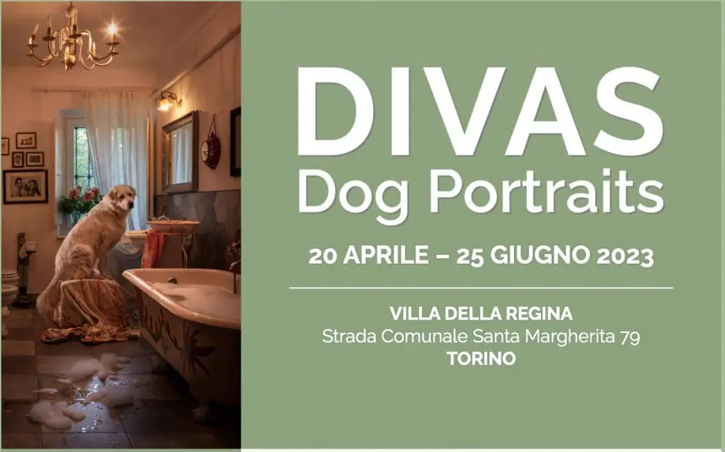 Mostra fotografica Torino