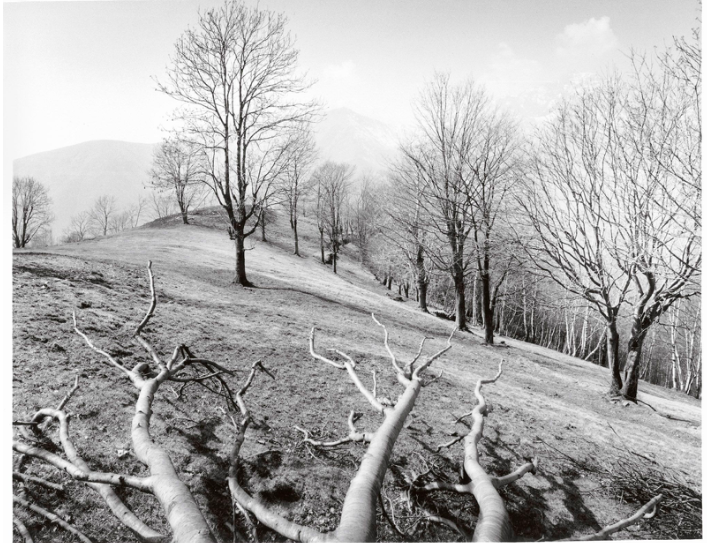 Mostra fotografica Torino