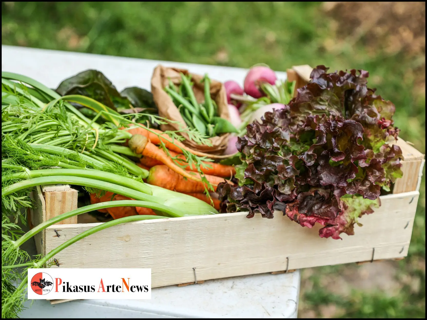 Ricette stagionali con prodotti biologici. Scopri i piatti deliziosi per ogni stagione con ingredienti freschi e delle aziende a km0