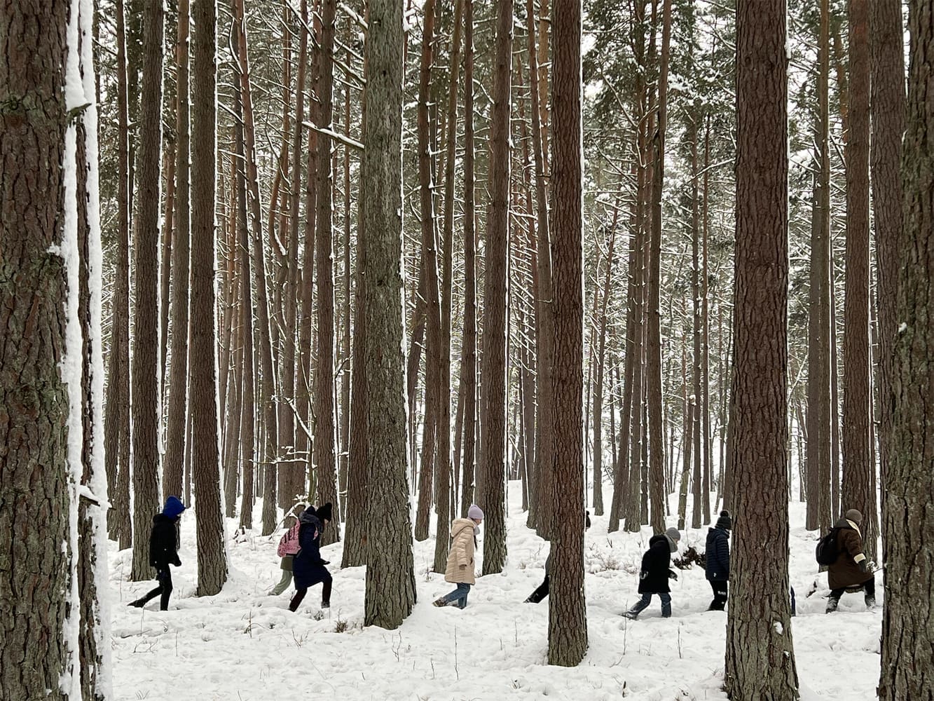 Padiglione Lituania 2023 - Biennale Architettura 2023 - Children’s Forest Pavilion - Ines Weizman Royal College of Art - Biodiversità