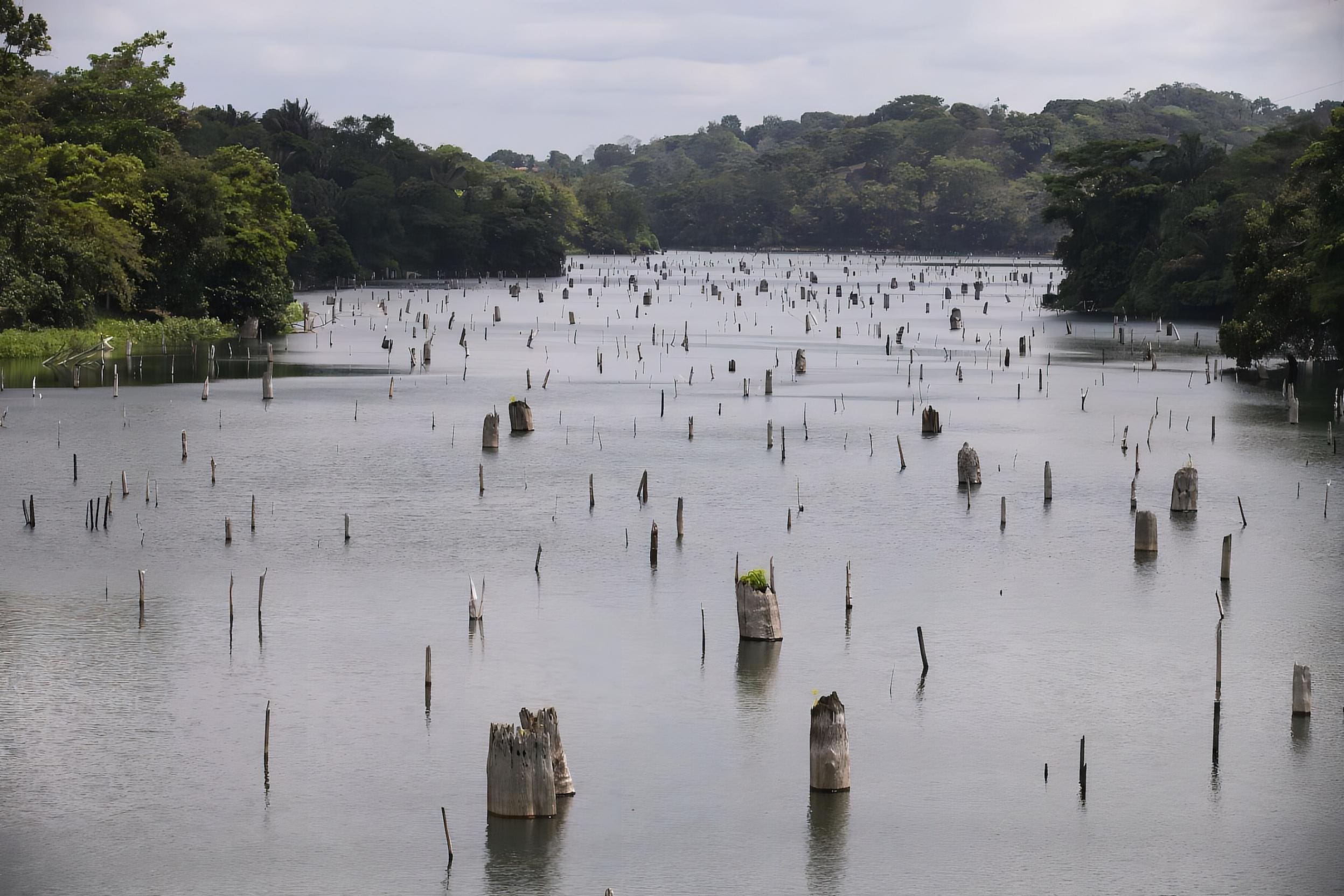 PADIGLIONE PANAMA 2023 - BIENNALE ARCHITETTURA 2023 - Stories from Beneath the Water - Panama Pavilion - Aimée Lam Tunon - Itzela Quirós