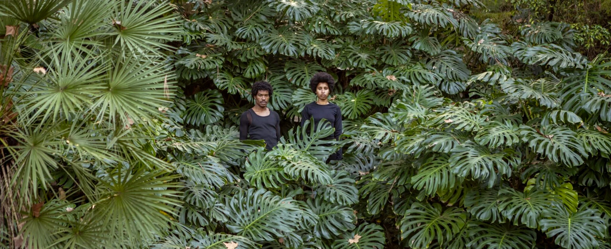 Padiglione Portogallo Biennale ospita GREENHOUSE, un Giardino Creolo alla 60ma edizione a Venezia, esplorando memoria e resistenza