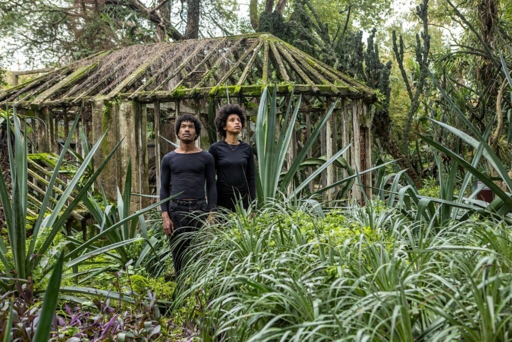 Padiglione Portogallo Biennale ospita GREENHOUSE, un Giardino Creolo alla 60ma edizione a Venezia, esplorando memoria e resistenza