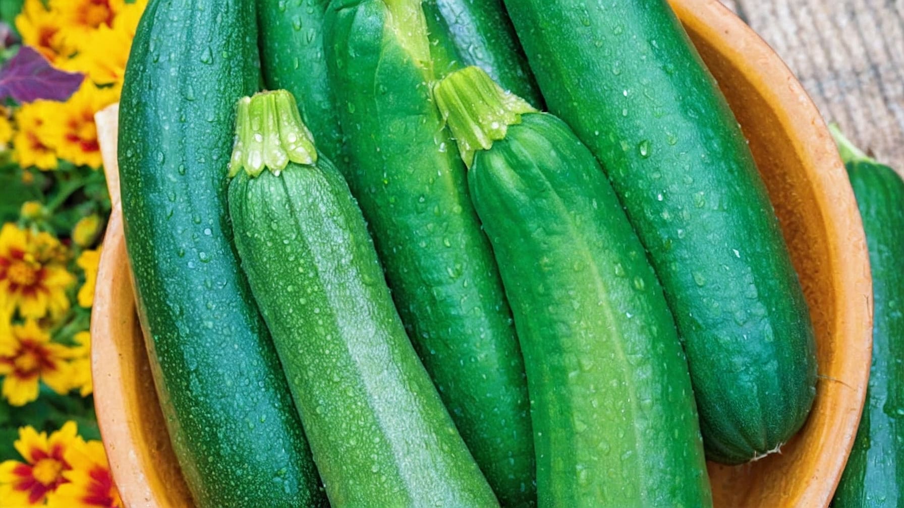 Coltivare zucchine in orto: una guida passo dopo passo per semina, cura e raccolta. Scopri come coltivare al meglio!