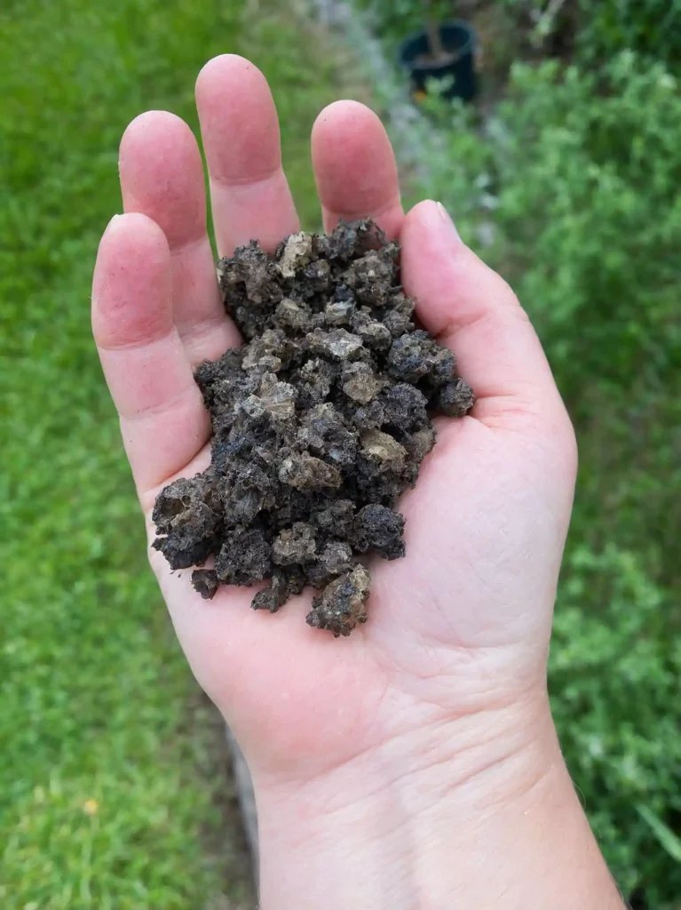 Fertilizzanti naturali per il tuo giardino: una guida completa su tipi, benefici e applicazione per un giardino sano. Scopri di più!