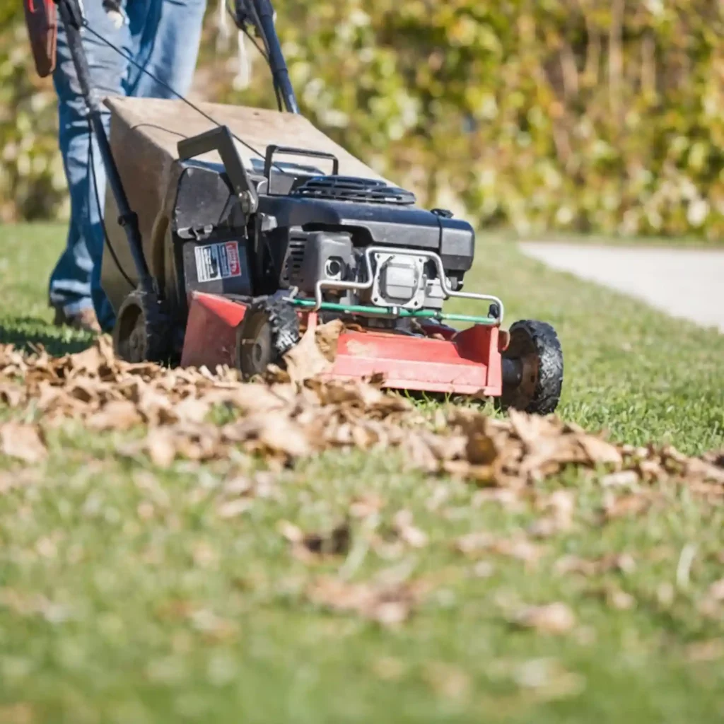 Mulching: taglio del prato, i vantaggi. Taglio con pacciamatura, consiste nel lasciare i ritagli d'erba sul prato dopo averlo tagliato.