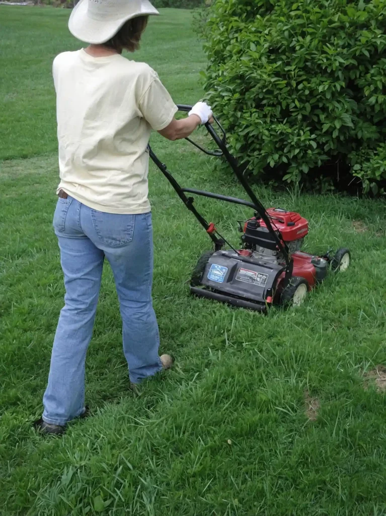 Mulching: taglio del prato, i vantaggi. Taglio con pacciamatura, consiste nel lasciare i ritagli d'erba sul prato dopo averlo tagliato.