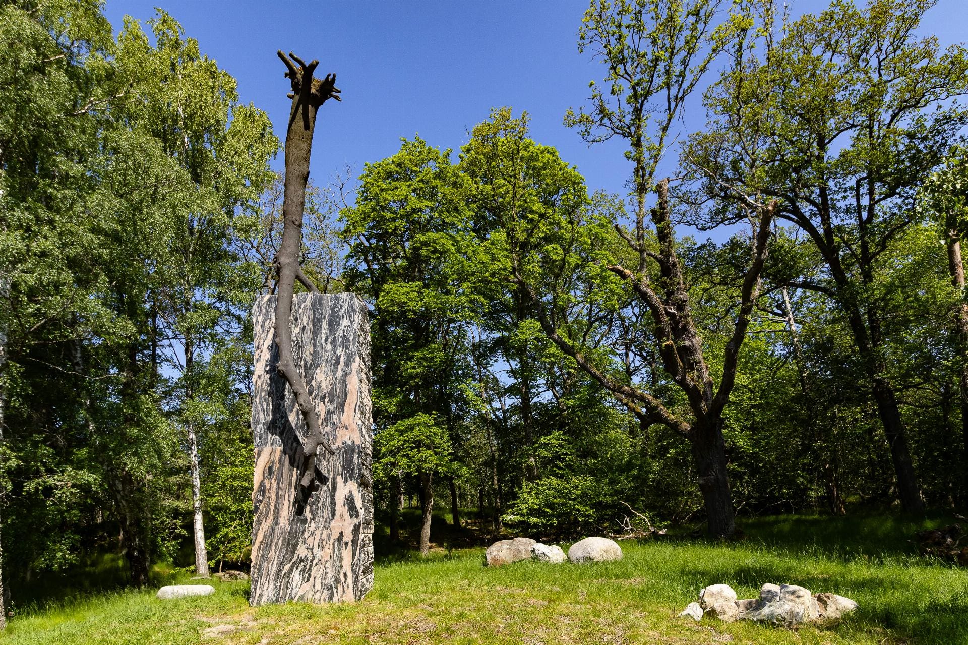 Riconoscimenti internazionali artisti italiani: Giuseppe Penone nominato Artista dell'anno 2024 dalla Prinsessan Estelles Kulturstiftelse