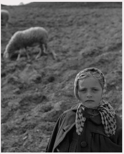 Galleria Nazionale dell’Umbria di Perugia ospita la mostra fotografica Umbria, una storia d’amore. Fulvio Roiter