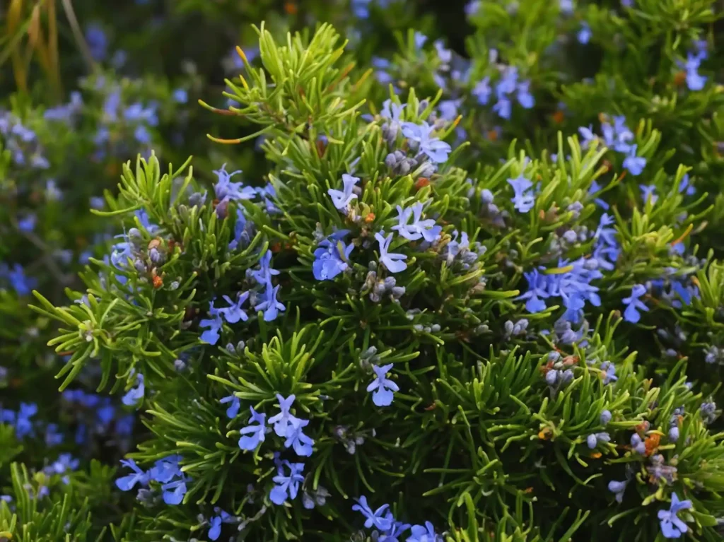 Giardinaggio e benessere mentale: un aiuto psicologico. Scopri come questa attività riduce lo stress e migliora l'umore.