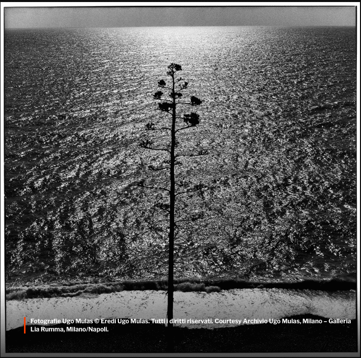 Mostra fotografica Camogli