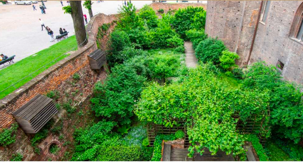 Palazzo Madama di Torino ospita la mostra GIARDINO MEDIEVALE “ANNI 2000”. Piante e tecniche per un giardino sostenibile