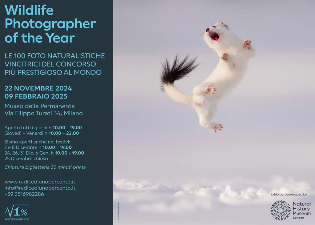 Wildlife Photographer of the Year 2024: la mostra al Museo della Permanente di Milano dal 22 novembre 2024 al 9 febbraio 2025.