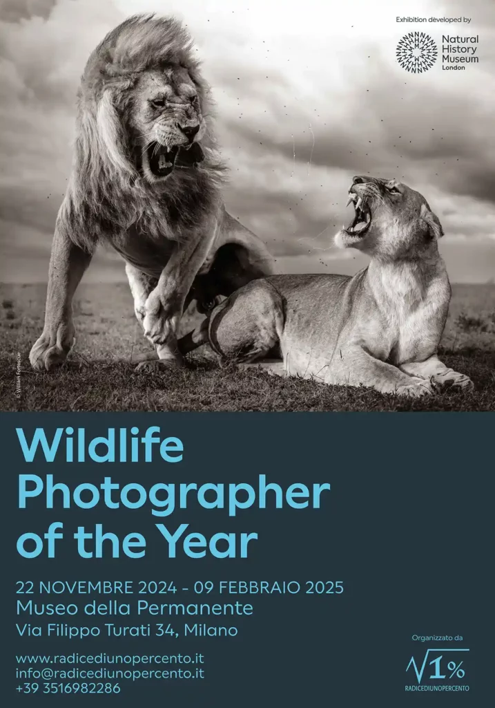 © William Fortescue, Wildlife Photographer of the Year