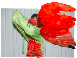 VIVIANE SASSEN. Phosphor: Art & Fashion